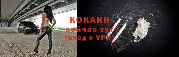 дурь Бородино