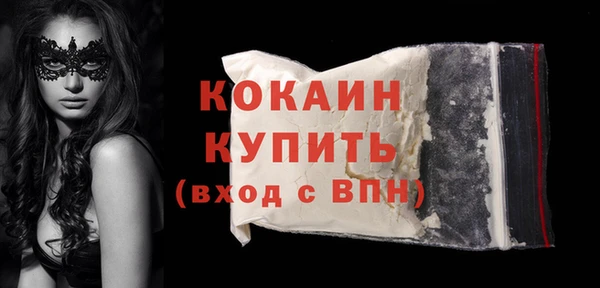 дурь Бородино