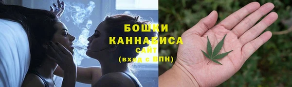 дурь Бородино
