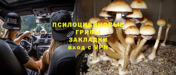 дурь Бородино