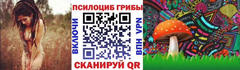 блэк спрут ТОР  Улан-Удэ  Псилоцибиновые грибы Cubensis 